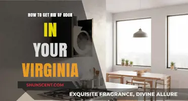 Fresh and Clean: A Guide to Eliminating Odor in Your Home