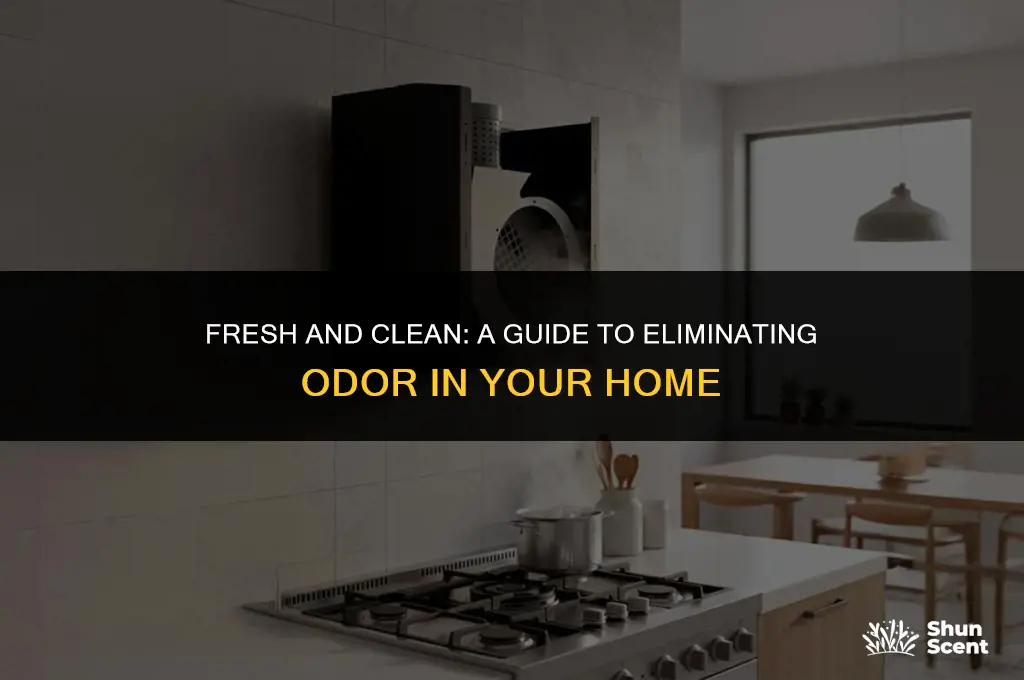 how to get rid of odor in your virginia