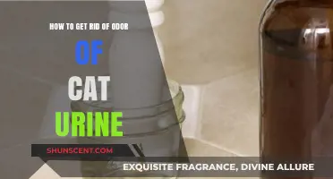 Eliminating Lingering Cat Urine Odor: A Comprehensive Guide