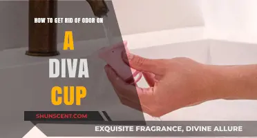 Fresh and Clean: A Guide to Odor-Free Diva Cup Use