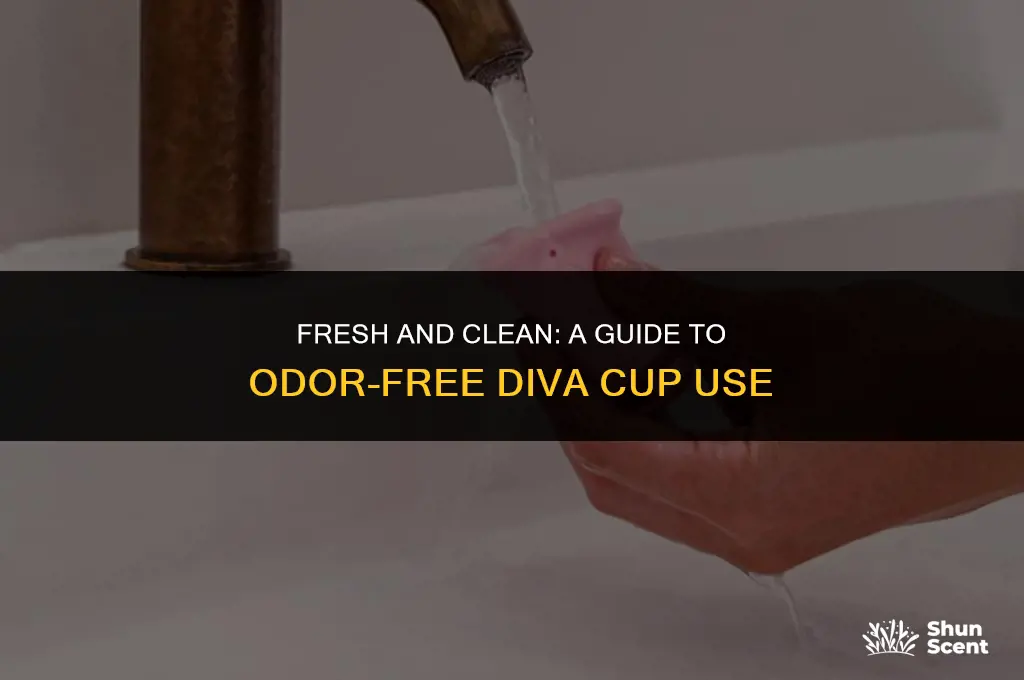 how to get rid of odor on a diva cup