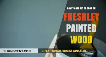Eliminate Unwanted Scents: A Guide to Odor-Free Freshly Painted Wood