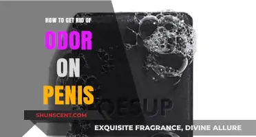 Fresh and Clean: A Guide to Eliminating Penis Odor