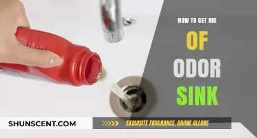 Freshen Up Your Kitchen: Effective Ways to Eliminate Sink Odors