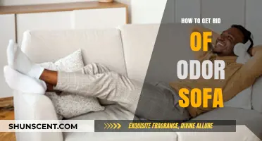 Freshen Up Your Space: A Guide to Odor-Free Sofas
