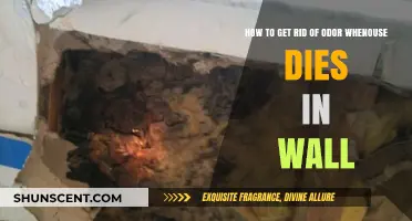 Eliminating Persistent Odors: A Guide to Handling In-Wall Decay