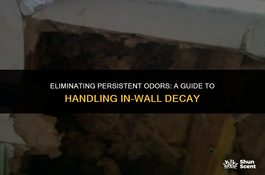 how to get rid of odor whenouse dies in wall