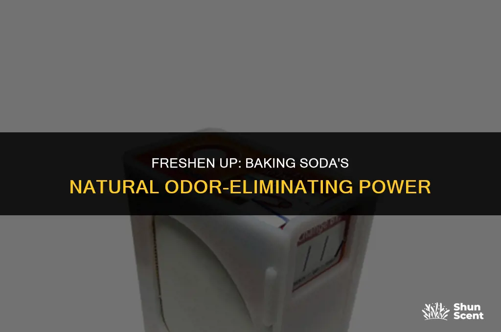 how to get rid of odor with baking soda