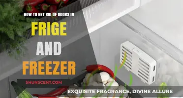 Freshen Up Your Kitchen: Eliminating Odors from Fridge and Freezer