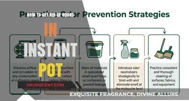 Instant Pot Odor Removal: Simple Tips for a Fresh Kitchen