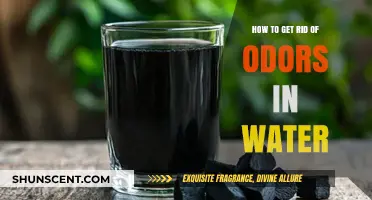 Freshen Your Water: Effective Tips to Eliminate Odors