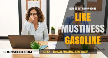 Freshen Up: Effective Ways to Eliminate Musty and Gasoline Odors