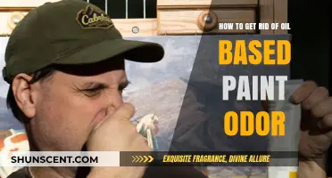 Freshen Up Your Space: Eliminating Oil-Based Paint Odors Effectively