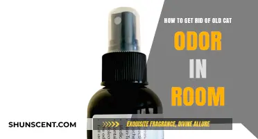 Freshening Up: Effective Ways to Eliminate Lingering Cat Odor