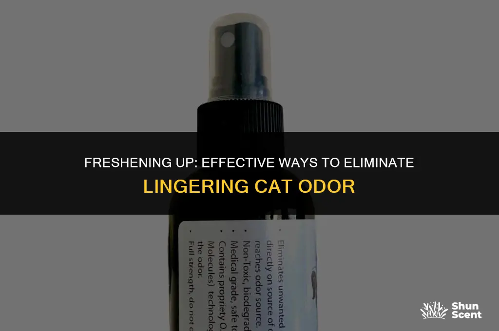 how to get rid of old cat odor in room