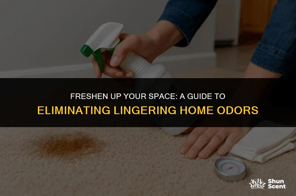 how to get rid of old home odors
