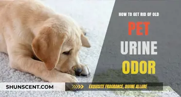 Eliminate Lingering Pet Urine Odors: A Comprehensive Guide