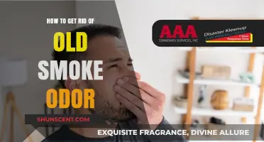 Freshen Up: Effective Ways to Eliminate Lingering Smoke Odors