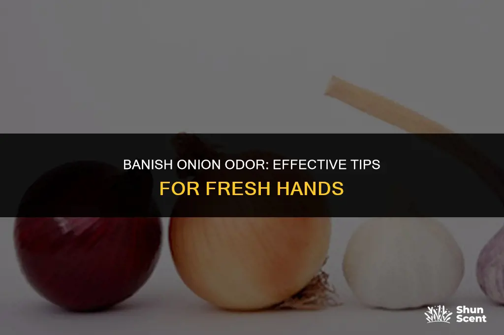 how to get rid of onion odor on hands