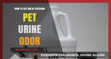 Eliminate Outdoor Pet Urine Odor: A Comprehensive Guide