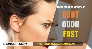 Freshen Up Fast: Tips to Combat Overweight Body Odor