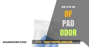 Fresh and Clean: A Guide to Eliminating Pad Odor