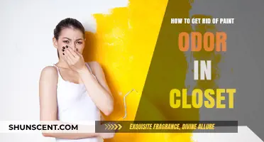 Freshen Up Your Closet: Effective Tips to Eliminate Paint Odor