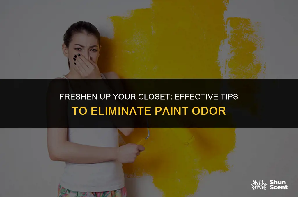how to get rid of paint odor in closet