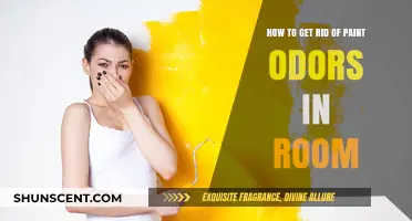 Fresh Air Ahead: Eliminating Paint Odors from Your Room