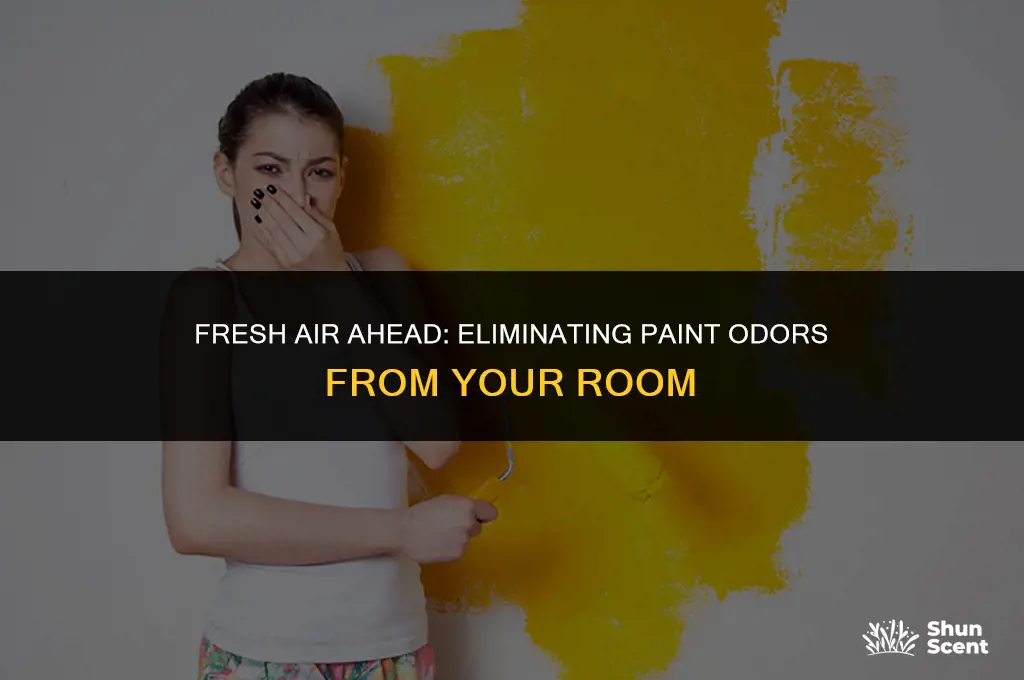 how to get rid of paint odors in room