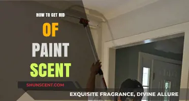 Eliminate Paint Odor Fast: Effective Tips for a Fresh-Smelling Home