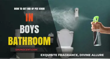 Freshening Up: A Guide to Eliminating Pee Odor in Boys' Bathrooms