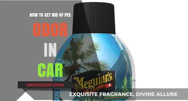 Freshen Up Your Ride: A Guide to Eliminating Pee Odor in Cars