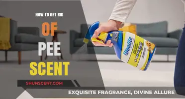 Effective Ways to Eliminate Lingering Pee Odor Permanently