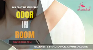 Eradicate Lingering Perfume Scents from Your Room