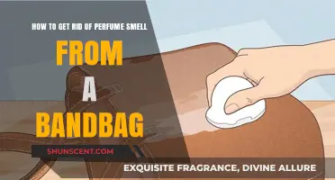 Eradicate Lingering Perfume Scents from Your Handbag