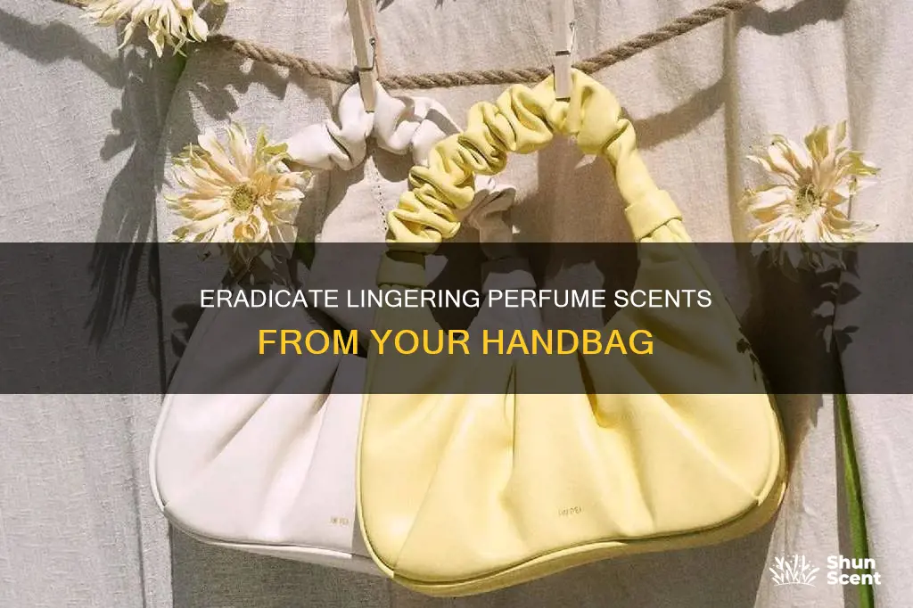 how to get rid of perfume smell from a bandbag