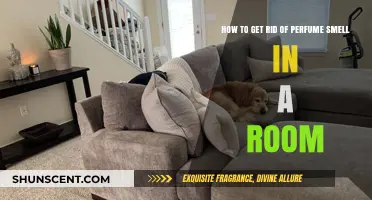 Eradicate Lingering Perfume Scents: Freshen Your Room