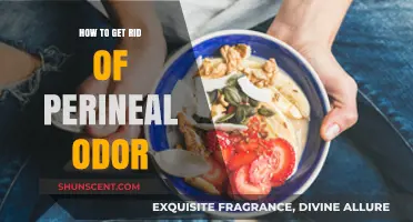 Fresh and Clean: A Guide to Eliminating Perineal Odor