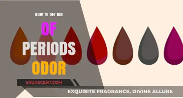 Fresh and Clean: A Guide to Managing Menstrual Odor