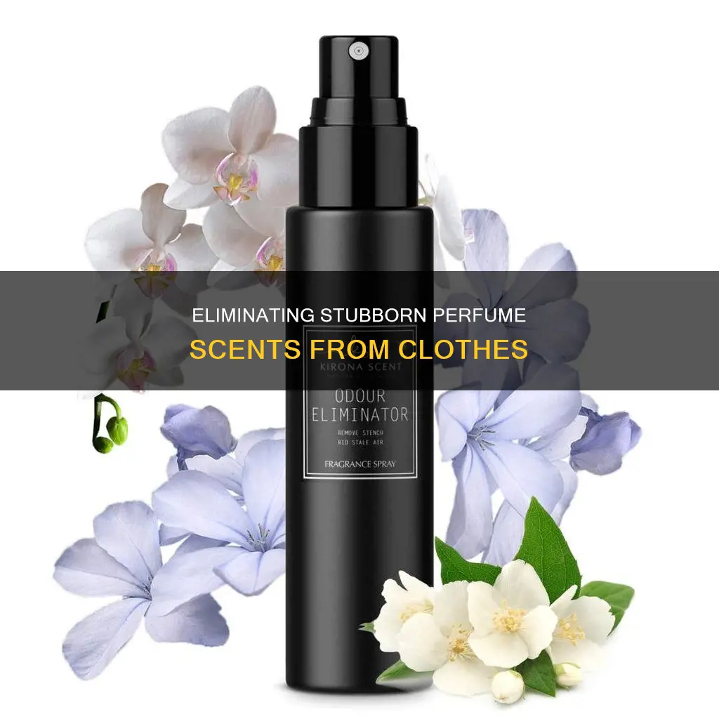 how to get rid of persistent perfume scent in clothes