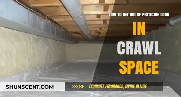 Eliminating Pesticide Odors in Your Crawl Space: A Comprehensive Guide