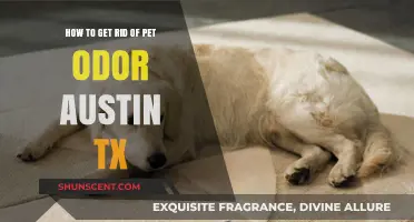 Freshen Up Your Home: Effective Tips to Eliminate Pet Odor in Austin, TX
