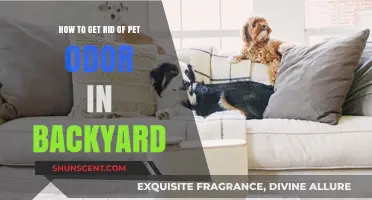 Freshen Up Your Backyard: A Guide to Eliminating Pet Odors