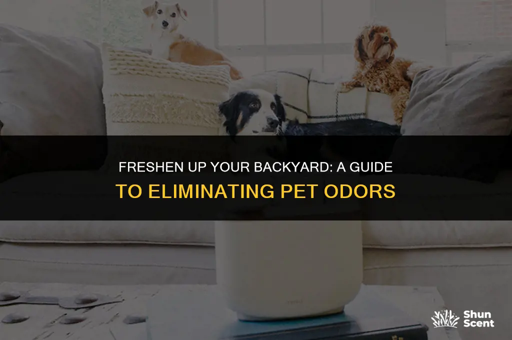 how to get rid of pet odor in backyard
