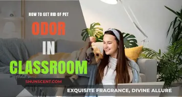 Freshening Up the Classroom: Effective Ways to Eliminate Pet Odor