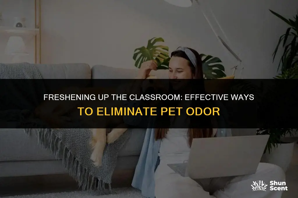 how to get rid of pet odor in classroom