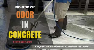 Freshen Up Your Space: Removing Pet Odor from Concrete Surfaces