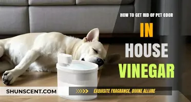 Vinegar's Power: Eliminating Pet Odors from Your Home Naturally