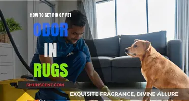 Freshen Up Your Home: Effective Tips to Eliminate Pet Odor from Rugs